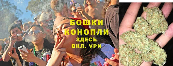 соль ск Арсеньев